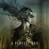 Suburban A Perfect Day With Eyes Wide Open