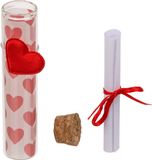 Out Of The Blue Kg Valentijn hartjes flesje van glas - met boodschap - 11 cm - Valentijnsdag cadeau versiering