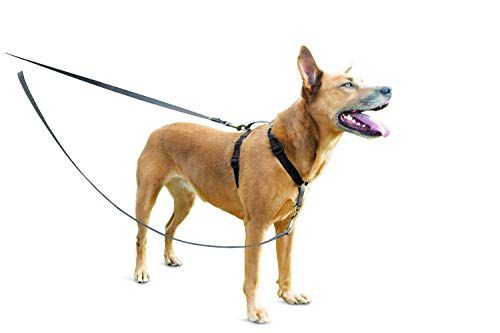 PETSAFE Anti-Trek Hondenlijn - 1,2 m