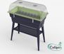 Calipso Plantenbak Calipso Combi 40L Grijs/lindegroen