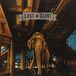 Heavy Last Giant - Heavy Habitat (LP)