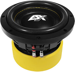 ESX QE622 - compacte subwoofer - 500 Watt