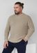 s.Oliver Gebreide trui met ronde hals en structuurpatroon - Beige - 4XL