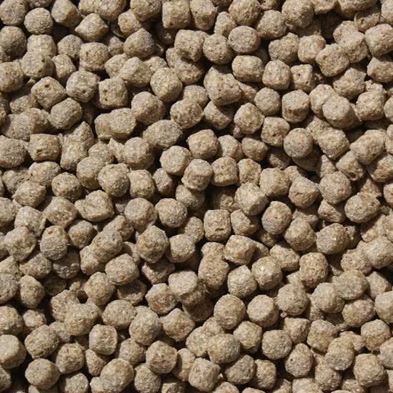 Voervoorvis Koivoer Wheat Germ 2KG 3mm