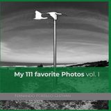 My 111 favorite Photos vol.I