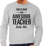 Bellatio Decorations Shoppartners Bv This is what an awesome teacher looks like cadeau sweater grijs - heren - beroepen / cadeau trui XXL