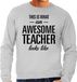Bellatio Decorations Shoppartners Bv This is what an awesome teacher looks like cadeau sweater grijs - heren - beroepen / cadeau trui XXL