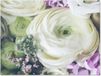 GreatGardenPosters Tuinposter - Bloemen Rozen Design - 160x120 cm - Buitenposter