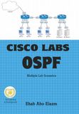 Cisco Labs OSPF Paperback