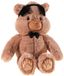 HEUNEC 141551 pluche dier, bruin