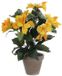 Mica Decorations Hibiscus Kunstplant in Bloempot Stan - H40 x Ø30 cm - Geel