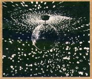 Warner Music Neil Young Mirror Ball