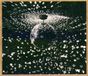 Warner Music Neil Young Mirror Ball