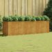 Maison Exclusive - Jardinière surélevée 280x80x80 cm, version acier Corten