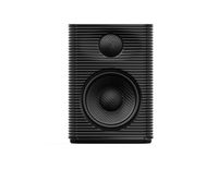 FiiO SP3 Desktop Speakers Zwart