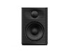 FiiO SP3 Desktop Speakers Zwart
