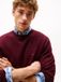 Tommy Hilfiger Heren Sweater Katoen Lange Mouw Casual Herfst/Winter 2025 Maat S