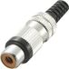 TRU COMPONENTS 595235 Connecteur Cinch, droit Nombre de pôles : 2 Rouge 1 pièce
