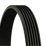 Contitech 6PK1115 V-riem
