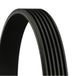 Contitech 6PK1115 V-riem