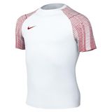 Nike Uniseks-Kind Short Sleeve Top Y Nk Df Academy Jsy Ss, Wit/Rood/Universiteit Rood, DH8369-100, M
