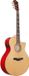 Ibanez AE170-NTR - Akoestische gitaar