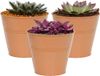 Mega Collections plantenpot/bloempot Bob - 3x - zink - terra - D11 X H10 cm