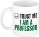 Bellatio Decorations Bellatio Decoration Cadeau koffie/thee mok - trust me I am a Professor - keramiek - 300 ml