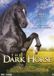 Dark Just Bridge The Dark Horse