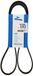 DAYCO 6PK1360S V-riem