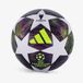 Adidas UCL voetbal wit paars