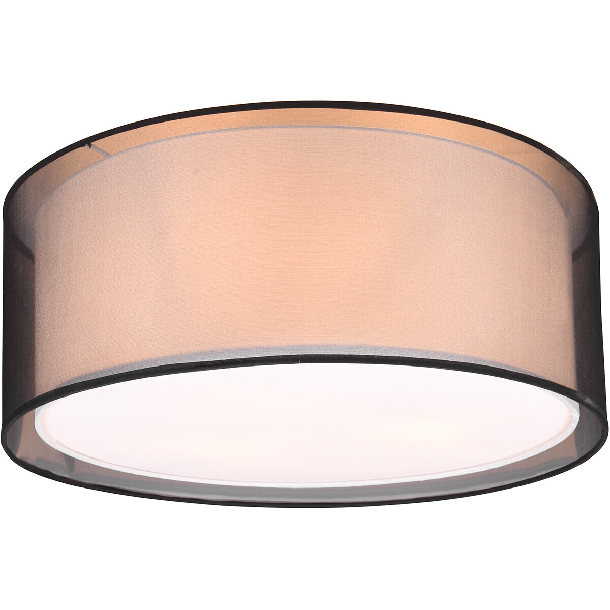 BES LED LED Plafondlamp - Plafondverlichting - Trion Bidon - E27 Fitting - 1-lichts - Rond - Mat Zwart - Aluminium