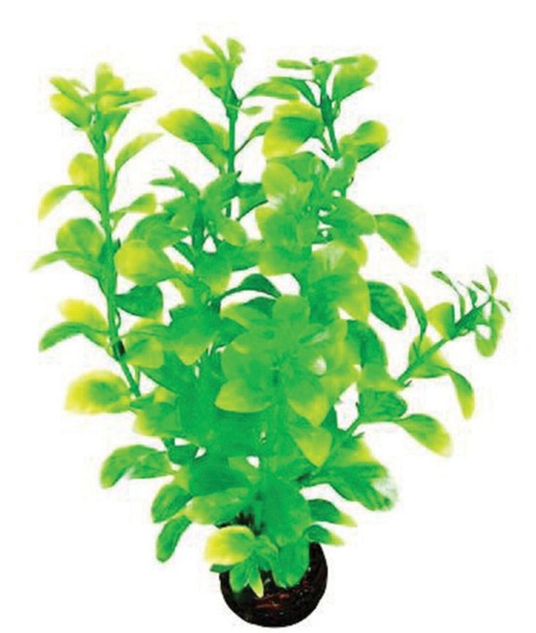 SuperFish easy plants middel nr. 2, van plastic 20 cm - 1 ST