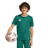 adidas Entrada26 Jersey Kids Shirt, team dark green/white, 3-4 Years