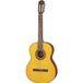 Takamine GC1LH-NAT linkshandige gitaar classique