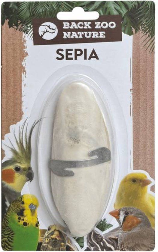 Back Zoo Nature Sepia - Vogel Sepia Schelp - Inclusief houder