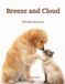 Breeze and Cloud: friends anyway Paperback