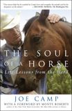 The Three Rivers Pr Soul Of A Horse Paperback