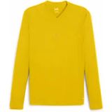 Puma teamGoal Long Sleeve Baselayer Shirt