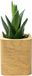 Oakywood Vierkante Plantenpot - Eikenhout - Beige