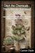 Ditch Soapwort Ditch the Chemicals - The Ultimate Soapwort Guide: Learn safe foraging and extraction to craft chemical-free shampoos, laundry wash, and salves