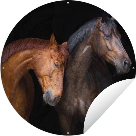 GreatGardenPosters Ronde Tuinposter - Paarden - Dieren - Bruin - 120x120 cm - Buiten XXL