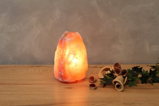 Himalaya Salt Dreams Himalaya Zoutlamp Rock 2-3kg met lamp en snoer