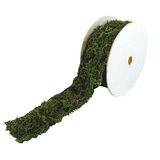 RAYHER 5531400 mosband, 5 cm breed, 200 cm lang