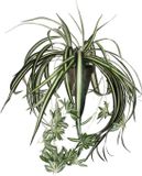 Mica Decorations Kunstplant - graslelie - groen - in pot - 45 cm - hangplanten