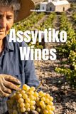 Assyrtiko Wines