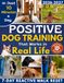 Positive Dog Training That Works in Real Life