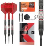 Target Gabriel Clemens 95K Swiss Point 95% - Dartpijlen