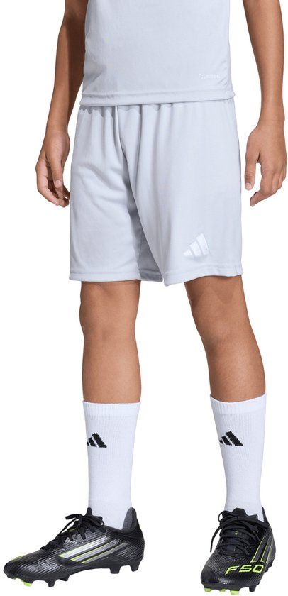 Adidas Entrada 26 Korte Broek Grijs 9-10 Years Kinderen