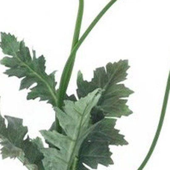 Erutan avon Poppy spray Casper cream 93 cm